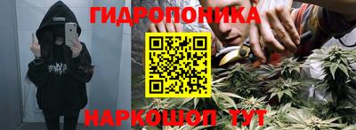 герыч Кингисепп