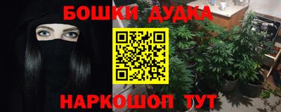 индика Кимры