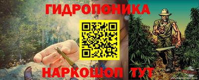 индика Кимры